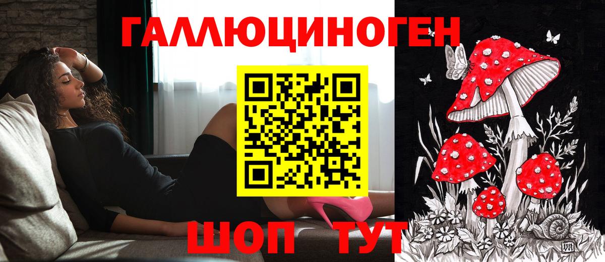Ставрополь  Галлюциногенные грибы прущие грибы  Вход с VPN 