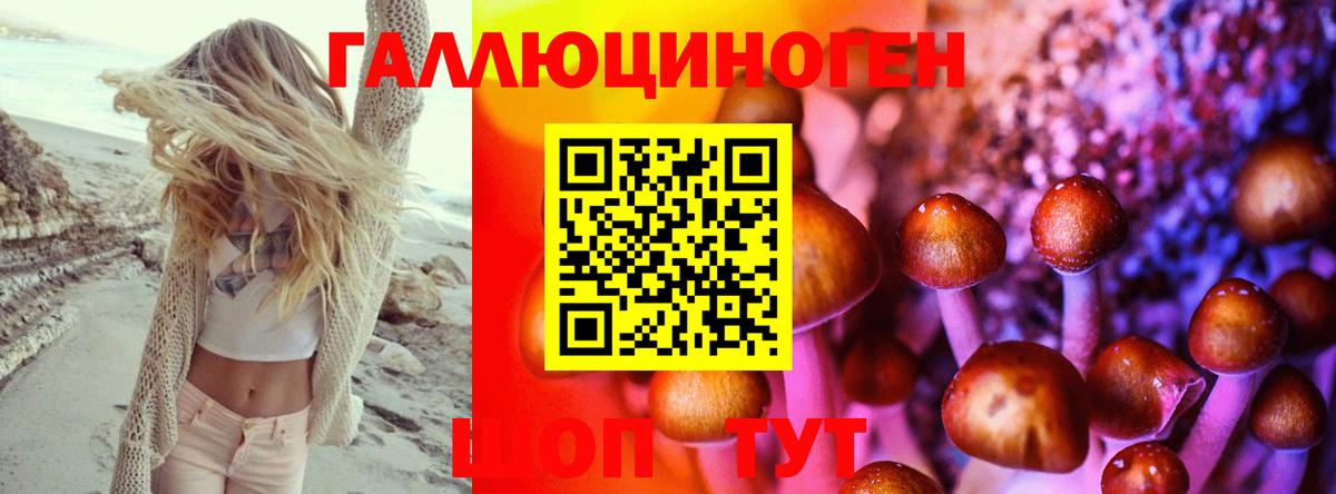 Псилоцибиновые грибы Cubensis Ставрополь